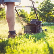 A lawn mower being pushed in a sunny yard.